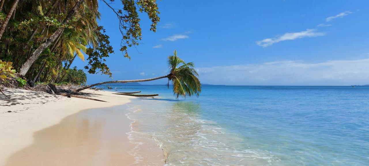 The Sunsetter Bed & Breakfast Bocas del Toro Exterior foto